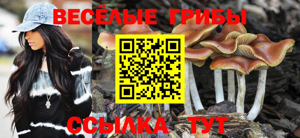 Псилоцибиновые грибы мицелий Балаково